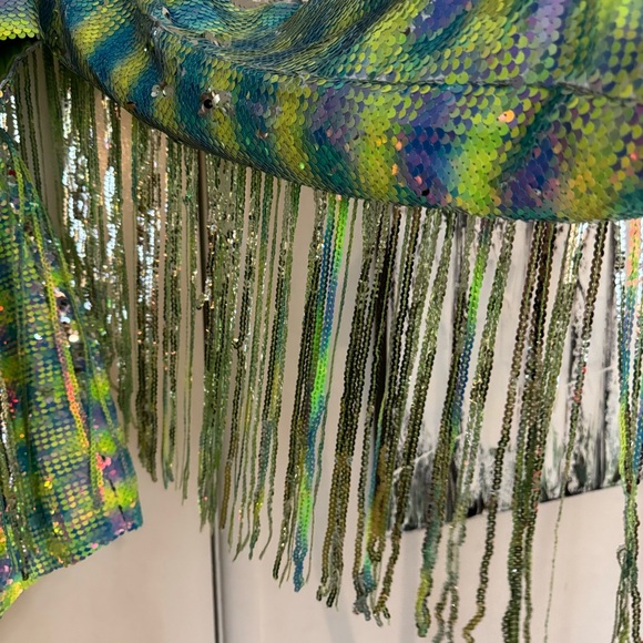 Nasty Gal Green and Blue Sequin Fringe Jumpsuit - Picture 9 of 9